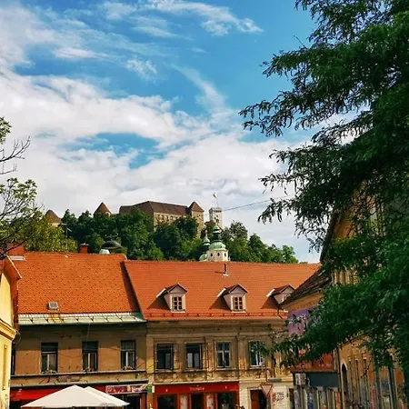 Artistic In Historical Old Town Apartmán Lublaň